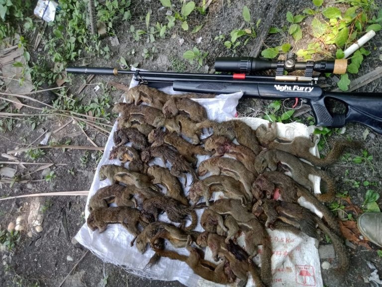 Daftar Harga Senapan Uklik Terbaru di Indosniper